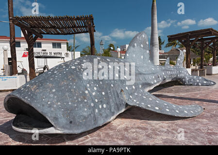 Requin baleine grise de faux dans le port de l'Île de Holbox, Quintana Roo, Mexique. Banque D'Images