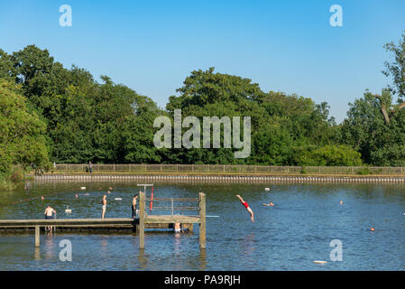 Hampstead Heath men's Pond, London, UK Banque D'Images