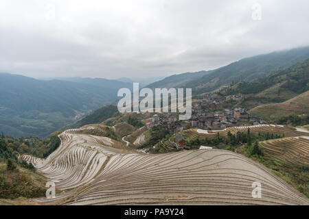 Les champs en terrasses de riz de Wengjia Longsheng longji Chine Hunan Banque D'Images