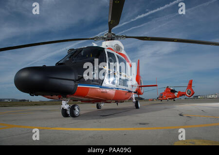 Les hélicoptères MH-65 Dolphin de la Garde côtière sont mis en scène à la Air Station Elizabeth City, Caroline du Nord, le 10 mars 2016, prêts pour les opérations et les vols de formation. Le centenaire de l’aviation de la Garde côtière est célébré avec des schémas de peinture jaune rétro, mettant l’accent sur les capacités de recherche et sauvetage (SAR), la préparation de l’équipage, la compétence opérationnelle et la performance des hélicoptères de transport moyen pour les missions maritimes et d’intervention d’urgence. Banque D'Images