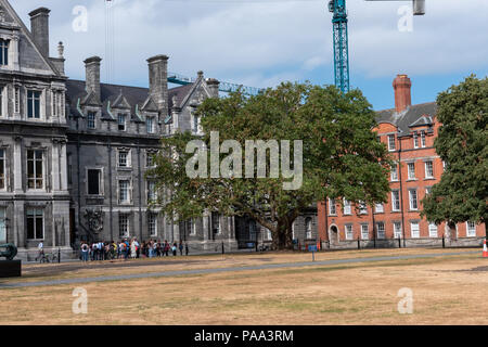 Un groupe touristique explore les motifs du Trinity College de Dublin, avec l'équipement de construction en arrière-plan. Banque D'Images