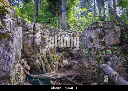 Roches sur le chemin près de Tomasovsky view point d'observation sur le côté gauche de la vallée de la rivière Hornad dans le parc national du Paradis slovaque, Slovaquie Banque D'Images