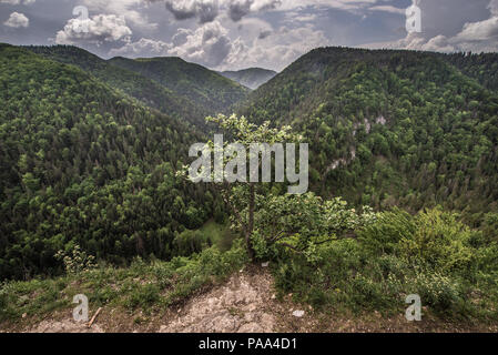 Vue de Tomasovsky view point d'observation sur le côté gauche de la vallée de la rivière Hornad dans le parc national du Paradis slovaque, Slovaquie Banque D'Images