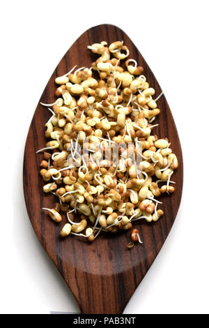 Sprouts in wooden spoon Banque D'Images