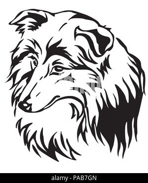 Portrait de décoration de chien de berger Shetland (Sheltie), vector illustration en couleur noir isolé sur fond blanc Illustration de Vecteur