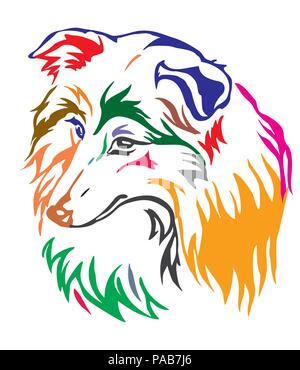 Portrait décoratives colorées de chien de berger Shetland Sheltie (), vector illustration en différentes couleurs isolé sur fond blanc Illustration de Vecteur