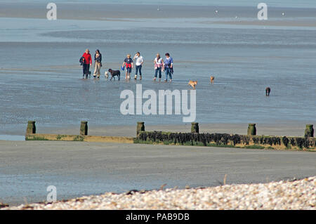 Les promeneurs de chiens et les chiens sur East/West Wittering Beach. Banque D'Images