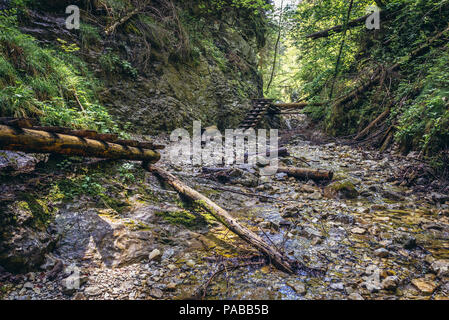 Tourisme à Sucha Bela canyon dans le parc national du Paradis slovaque, partie nord de Monts Métallifères slovaques en Slovaquie Banque D'Images