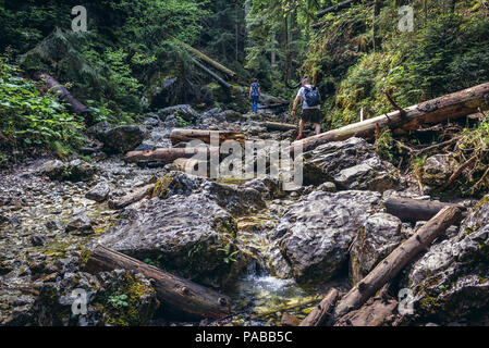 Tourisme à Sucha Bela canyon dans le parc national du Paradis slovaque, partie nord de Monts Métallifères slovaques en Slovaquie Banque D'Images