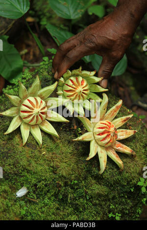 Touring-Tobago. Photo : Sean Drakes/Alamy Banque D'Images