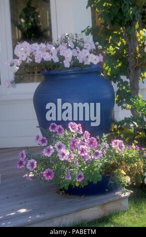 Grand pot de jardin bleu et petit pot contenant des fleurs de pétunia sur le patio en bois avant d'une maison de banlieue, Sydney, Nouvelle-Galles du Sud, Australie. Banque D'Images