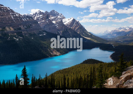 Le lac Peyto vue depuis le haut d'une montagne lors d'une journée ensoleillée. Prises en promenade des Glaciers, Banff National Park, Alberta, Canada. Banque D'Images