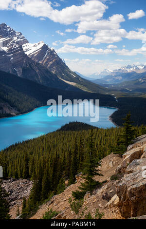 Le lac Peyto vue depuis le haut d'une montagne lors d'une journée ensoleillée. Prises en promenade des Glaciers, Banff National Park, Alberta, Canada. Banque D'Images