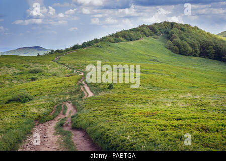 Montage sur Wetlina Berdo Szare Prairies dans l'ouest de Bieszczady en Pologne Banque D'Images