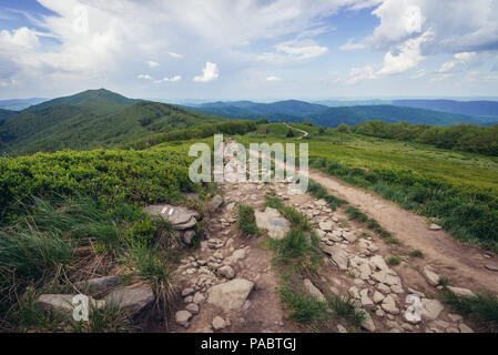 Chemin touristique sur Wetlina Prairies dans l'ouest de Bieszczady en Pologne, avec vue sur le mont Smerek background Banque D'Images