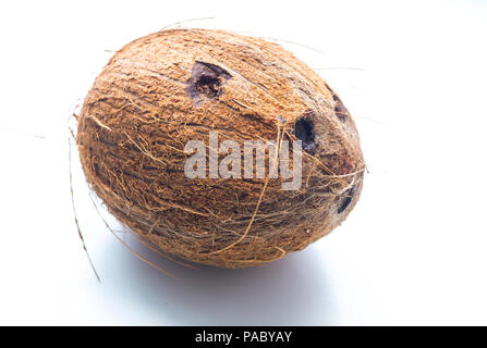 Coconut isolé sur fond blanc Banque D'Images