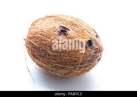 Coconut isolé sur fond blanc Banque D'Images