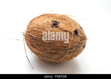 Coconut isolé sur fond blanc Banque D'Images