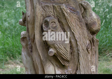 Souche d'arbre sculpté en bois sculptures avec la faune de la réserve RSPB Crie Newton Stewart Dumfries et Galloway Ecosse Banque D'Images