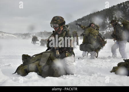 Les soldats de l'Armée royale néerlandaise qui participent à l'exercice Cold Response 16 se positionner après la sortie pendant la première phase de l'entraînement par temps froid extrême. Réponse froide est un exercice dirigé par-norvégien qui répète des opérations de haute intensité dans des conditions hivernales. L'exercice implique plus de 3 000 membres ; service des États-Unis d'environ 6 500 membres de la Forces armées norvégiennes ; et près de 4 000 soldats de 11 pays alliés et partenaires, y compris la Belgique, Canada, Danemark, France, Allemagne, Lettonie, Pays-Bas, Pologne, Royaume-Uni et Suède, Kingd Banque D'Images