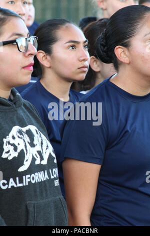 Au Sherman Oaks Recreation Park à Van Nuys, en Californie, des femmes du Marine corps Poolees ont observé des recruteurs démontrant le segment de suspension à bras fléchi du test de force initial. Les instructeurs de l'exercice ont supervisé la session pour s'assurer que la technique, la discipline et la formation étaient appropriées. L'événement impliquait une évaluation de la condition physique pour les recrues des stations de recrutement de Los Angeles et du comté d'Orange, mettant l'accent sur la force du haut du corps, l'endurance et les normes du corps des Marines pendant la fonction de piscine féminine de 2016. Banque D'Images