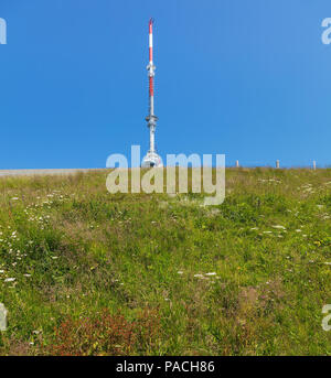 Vue sur le sommet du Mt. Rigi en Suisse en été. Mont Rigi est une destination touristique populaire, accessible par chemin de fer à crémaillère de montagne. Banque D'Images