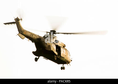 Un Eurocopter AS532 Cougar espagnol avec 4e Bataillon d'hélicoptères de manoeuvre aux côtés de mouches U.S. Marine Corps MV-22 Osprey avec l'escadron 263 à rotors basculants moyen Marin, outillage spécial air-sol marin Réponse Force-Crisis Tâche- l'Afrique, au cours de formation aéronautique bilatéral à El Copero, Espagne, le 17 mars 2016. SPMAGTF-CR-AF Marines et BEHLMA IV soldats espagnols menée Entraînement bilatéral pour accroître la coopération entre les États-Unis et les forces de l'armée espagnole ainsi que d'accroître la compétence et la connaissance de la zone d'opérations. (U.S. Marine Corps photo par le Sgt. Kassie L. McDole/libérés) Banque D'Images