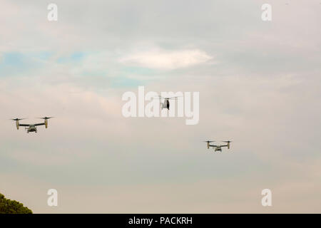 U.S. Marine Corps MV-22 Osprey avec l'escadron 263 à rotors basculants moyen Marin, outillage spécial air-sol marin Réponse Force-Crisis Tâche- Afrique et un Eurocopter AS532 Cougar espagnol avec 4e Bataillon d'hélicoptères de manoeuvre voler en formation au cours de la formation, de l'aviation bilatérales El Copero, Espagne, le 17 mars 2016. SPMAGTF-CR-AF Marines et BEHLMA IV soldats espagnols menée Entraînement bilatéral pour accroître la coopération entre les États-Unis et les forces de l'armée espagnole ainsi que d'accroître la compétence et la connaissance de la zone d'opérations. (U.S. Marine Corps photo par le Sgt. Kassie L. McDole/libérés) Banque D'Images