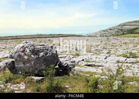 Le Burren "grand rocher" est une région d'intérêt environnemental principalement situé dans le nord-ouest du comté de Clare, Irlande, dominé par karst glaciaire Banque D'Images