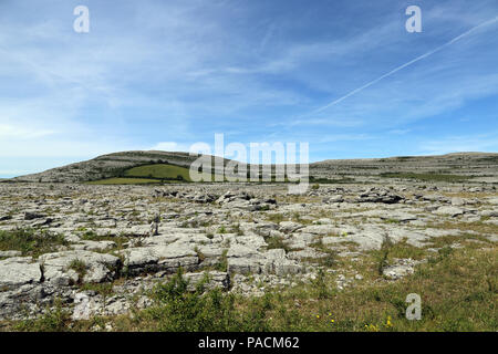 Le Burren "grand rocher" est une région d'intérêt environnemental principalement situé dans le nord-ouest du comté de Clare, Irlande, dominé par karst glaciaire Banque D'Images