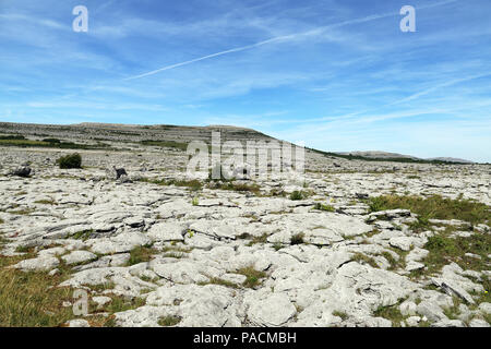 Le Burren "grand rocher" est une région d'intérêt environnemental principalement situé dans le nord-ouest du comté de Clare, Irlande, dominé par karst glaciaire Banque D'Images