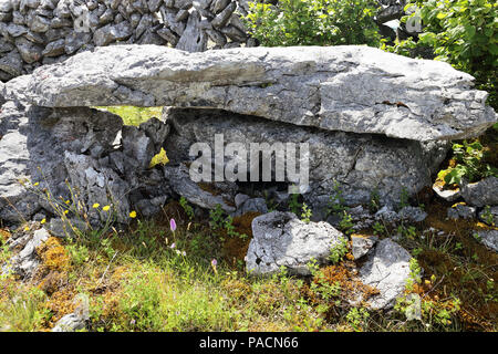 Le Burren "grand rocher" est une région d'intérêt environnemental principalement situé dans le nord-ouest du comté de Clare, Irlande, dominé par karst glaciaire Banque D'Images