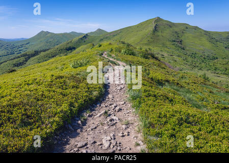 Tourisme à Halicz pic dans les Bieszczady, dans le sud de la Pologne Banque D'Images