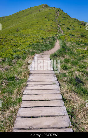 Chemin touristique à Halicz pic dans les Bieszczady, dans le sud de la Pologne Banque D'Images