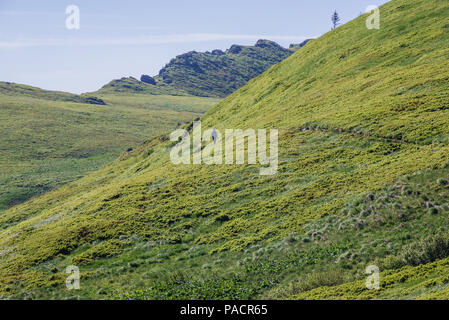 Femme marche sur une piste touristique dans les Bieszczady, dans le sud de la Pologne Banque D'Images