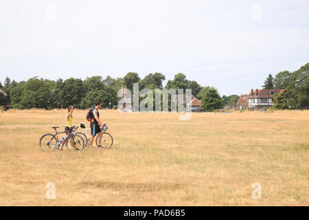 London UK. 22 JUILLET 2018 . Les gens marchent sur l'holocauste de l'herbe sèche sur Wimbledon Common à Londres, causée par une longue période de canicule de l'été et période sèche dans une grande partie du sud de l'Angleterre. Credit : amer ghazzal/Alamy Live News Banque D'Images