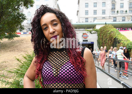 Londres, Royaume-Uni. 22 juillet, 2018. Les gens pique-nique au parc de verdure comme des vagues se poursuit au Royaume-Uni le 22 juillet 2018, Londres, Royaume-Uni : Crédit photo Capital/Alamy Live News Banque D'Images