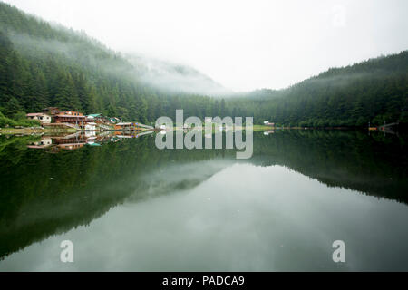 Village de Elfin COVE, Alaska Banque D'Images