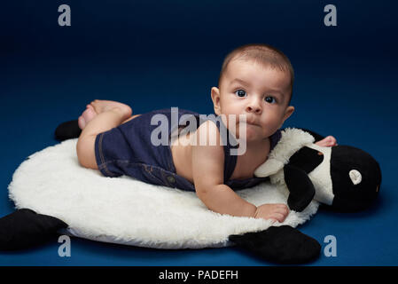 Cute baby boy laying on pillow in blue background studio Banque D'Images