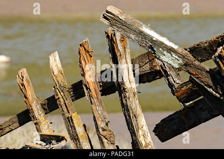 Les restes du squelette d'un vieux bateau, maintenant un naufrage en décomposition lente. Banque D'Images