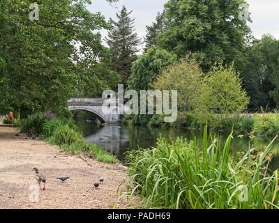 Pont classique au Jardins de Chiswick, Burlington Lane, Chiswick, Londres, Royaume-Uni. Banque D'Images