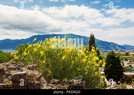 Vue panoramique sur la montagne de la ville antique de Pompéi, Naples, Italie. Banque D'Images