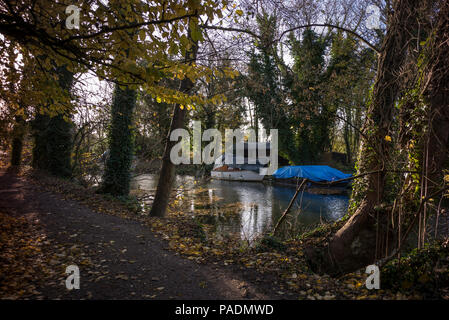 Raymill 'île', Maidenhead, Berkshire, UK, vue générale, ciel bleu, un jour ensoleillé de l'Île 'Raymill', Grande-Bretagne, © Peter SPURRIER, Banque D'Images