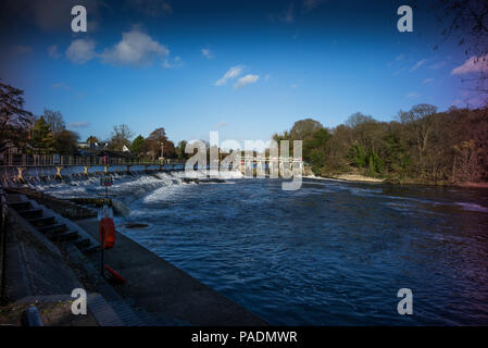 Raymill 'île', Maidenhead, Berkshire, UK, vue générale, ciel bleu, un jour ensoleillé de l'Île 'Raymill', Grande-Bretagne, © Peter SPURRIER, Banque D'Images