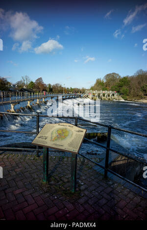 Raymill 'île', Maidenhead, Berkshire, UK, vue générale, ciel bleu, un jour ensoleillé de l'Île 'Raymill', Grande-Bretagne, © Peter SPURRIER, Banque D'Images