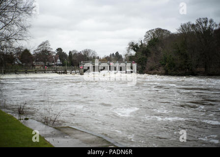 Maidenhead, Berkshire, Royaume-Uni, vue générale, Raymill Boulters Weir, 'île', rives de la Tamise, Thames Valley © Peter SPURRIER, Banque D'Images