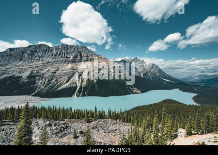 Vue sur le Lac Peyto, parc national Banff Canada Banque D'Images