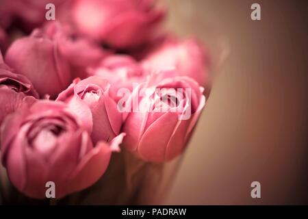 La pivoine-roses bouquet de Bush Banque D'Images