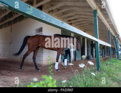 L'stabels à Fort Erie racetrack à Fort Erie, Ontario, Canada. Banque D'Images