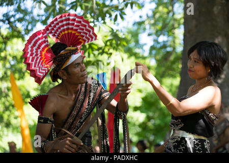 Danse Danse du riz et Padoa par personnes Savu Banque D'Images